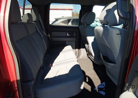 2013 Ford F-150 Xlt z USA, uszkodzony, nr VIN 1FTFW1CT0DKG16733